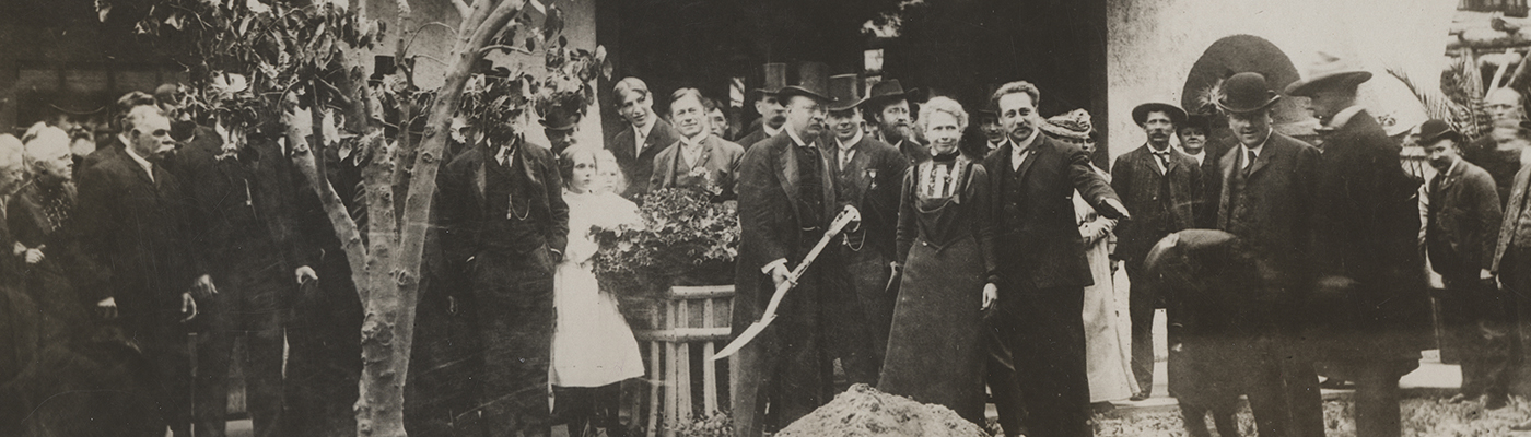 T. R. [Theodore Roosevelt] Plants California's First Navel Orange Tree