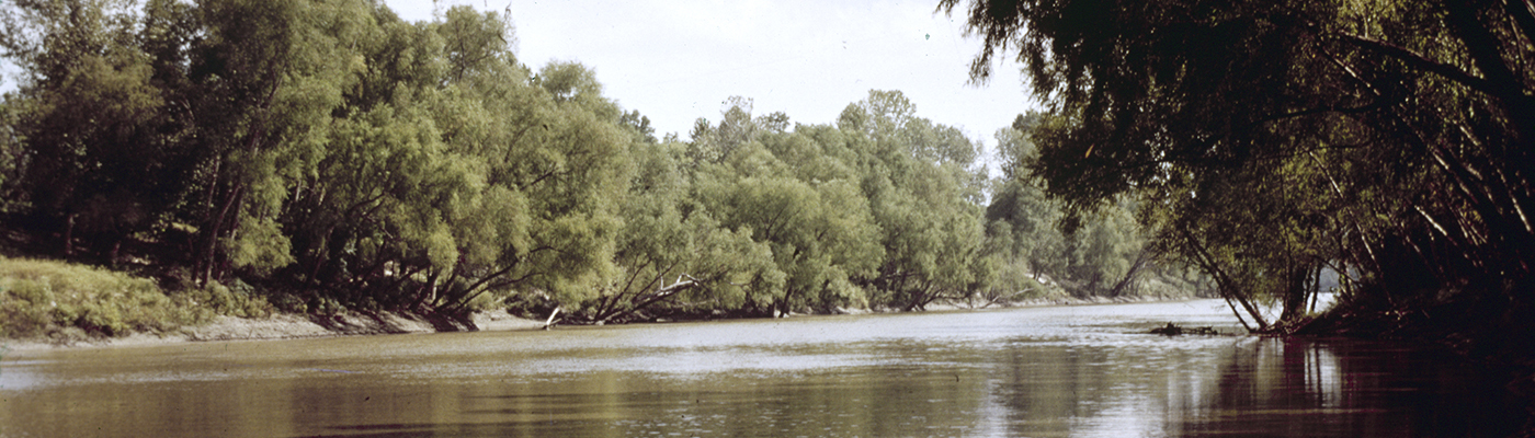 [Trinity River, slide no. 12]