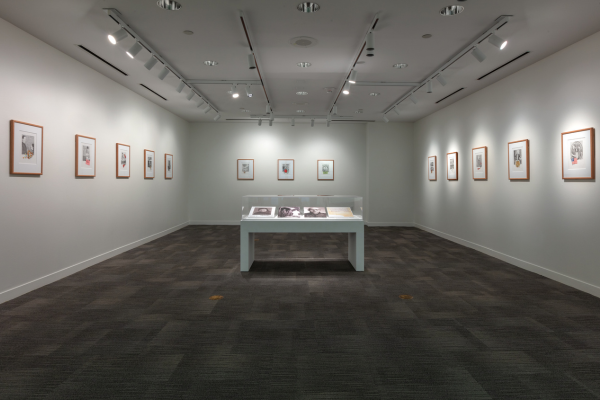 artwork displayed in Hawn Gallery