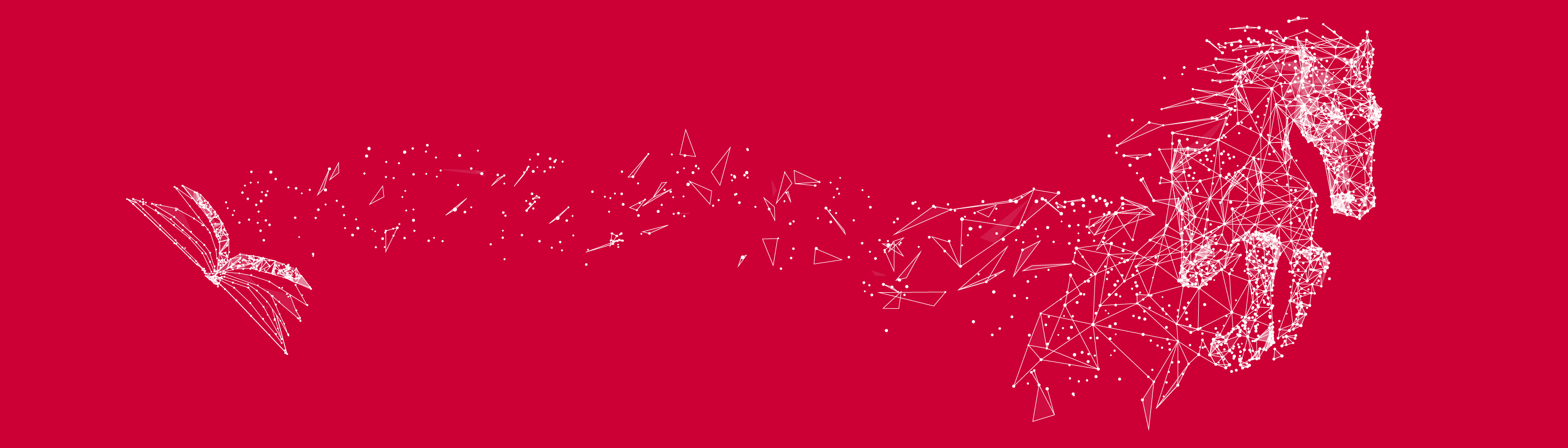 mustang made from networking emerging from book