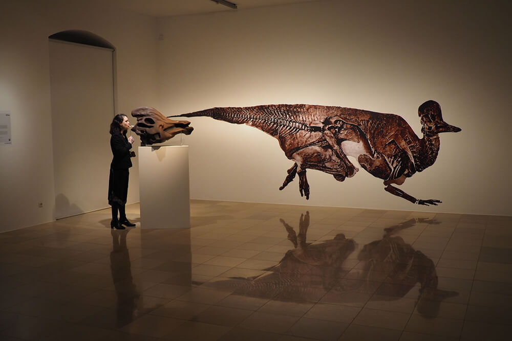 Hadrosaur-skull-instrument-Rawr