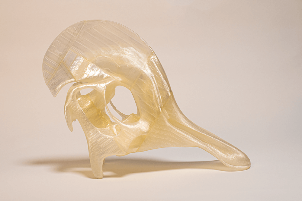 skull_prototype_print_1
