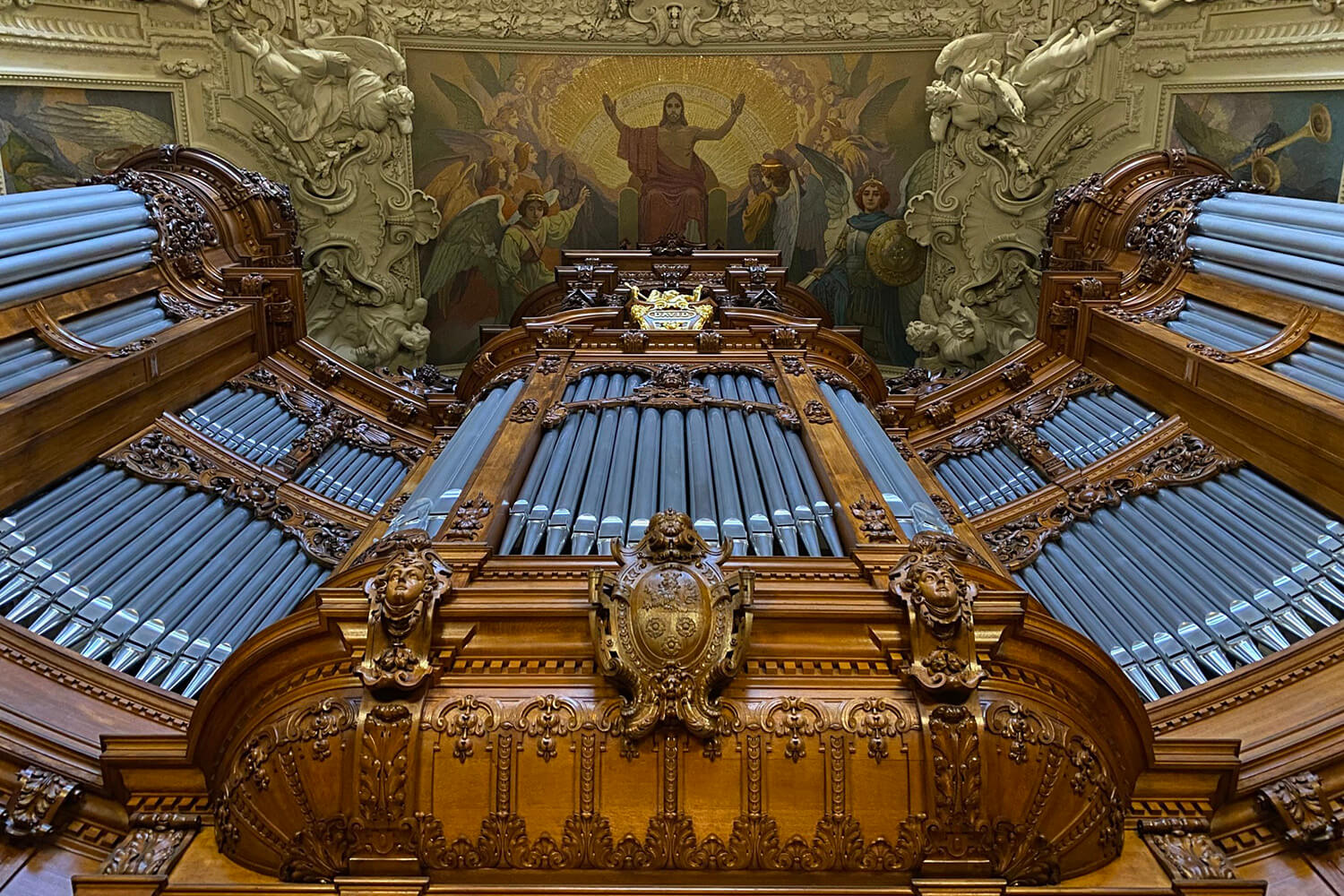 Organ-3