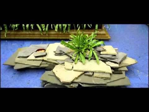 Daniel Bertalot video