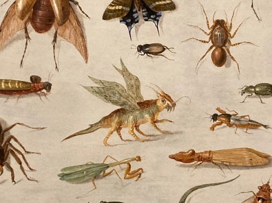 an-van-kessel-insects-and-reptiles