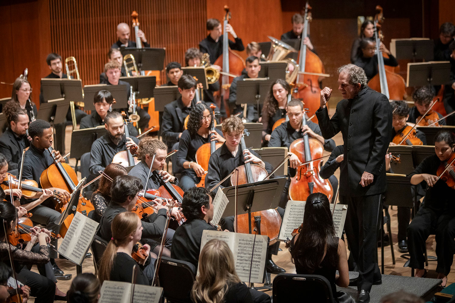 Meadows Symphony Orchestra