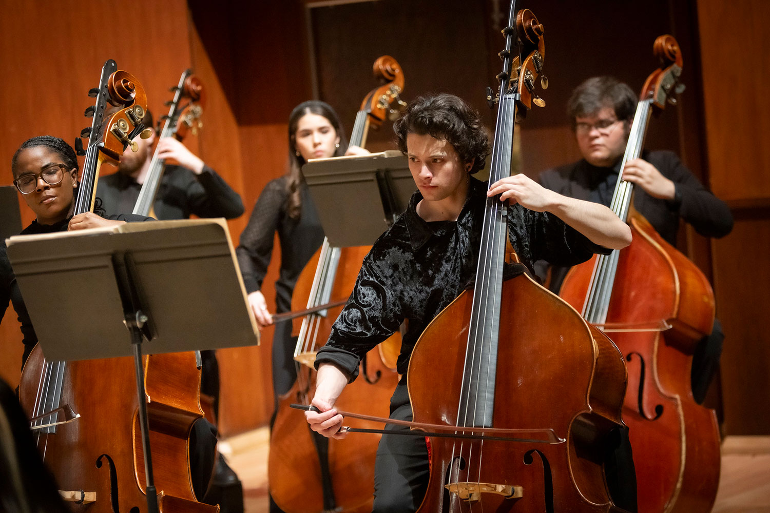 Bass String Section