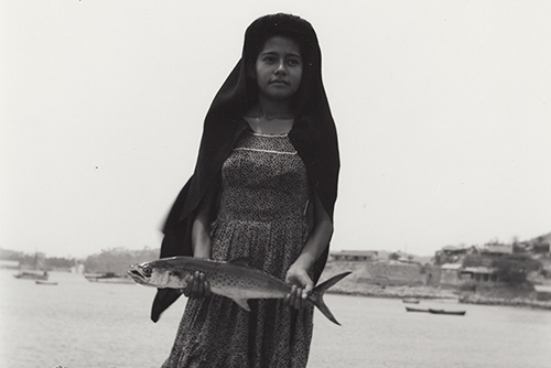 alvarez-bravo-fish-called-saw