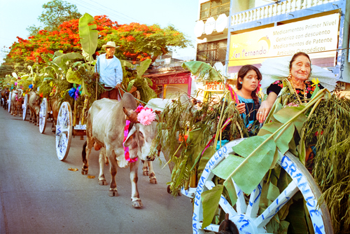 Women in parade in Mexico