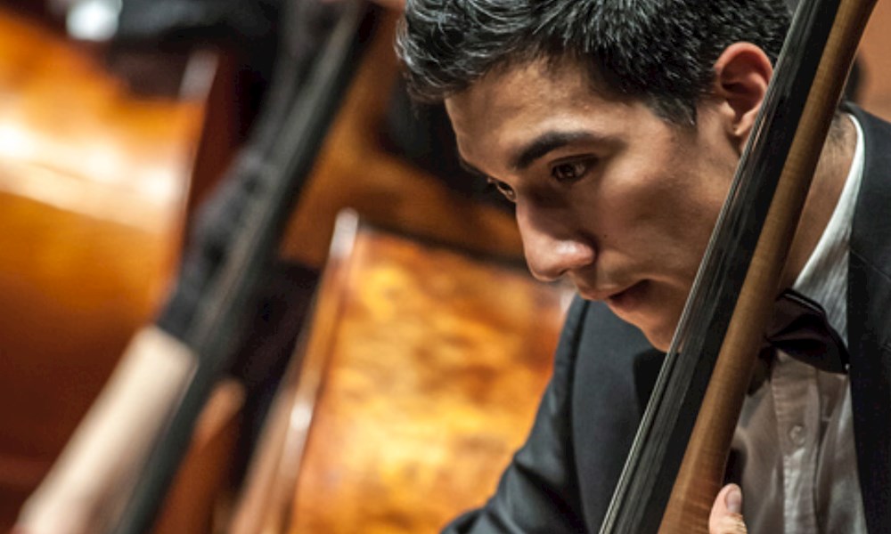 Man Playing Double Bass