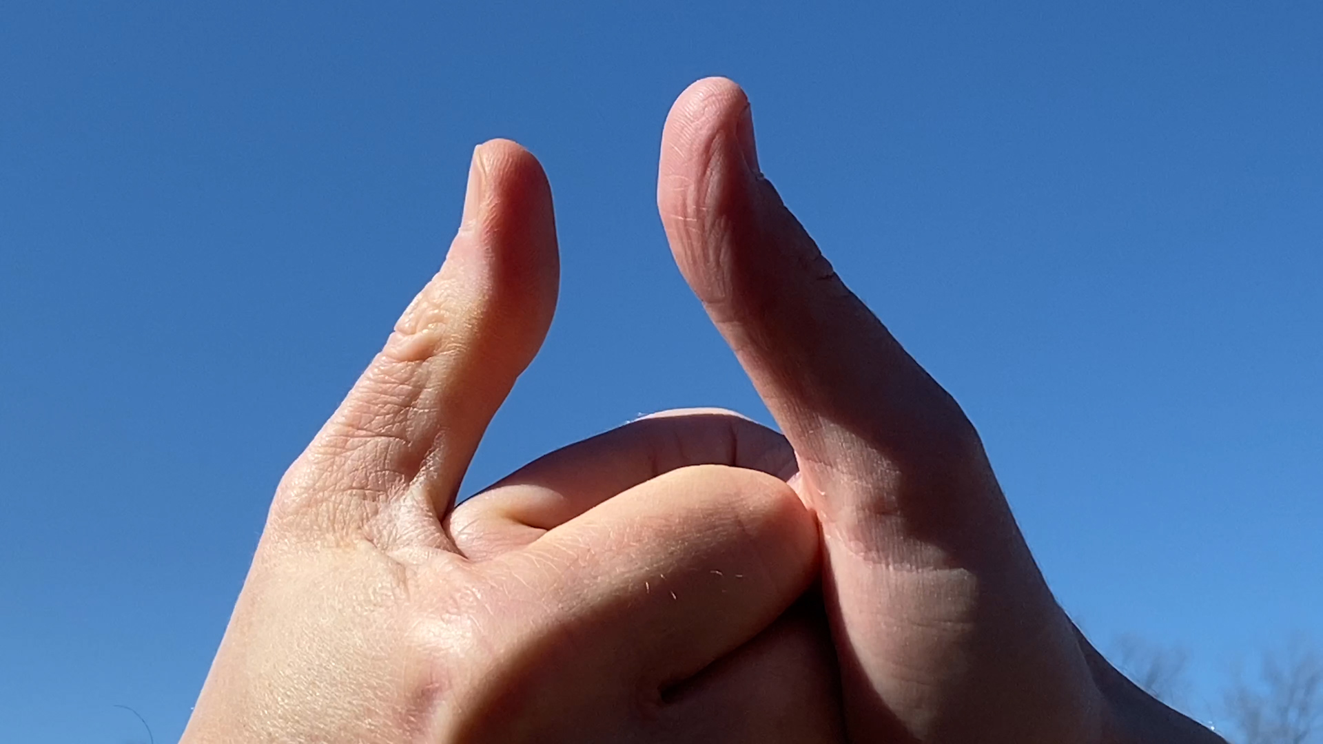 Thumb wrestling still from short film Bird Brains