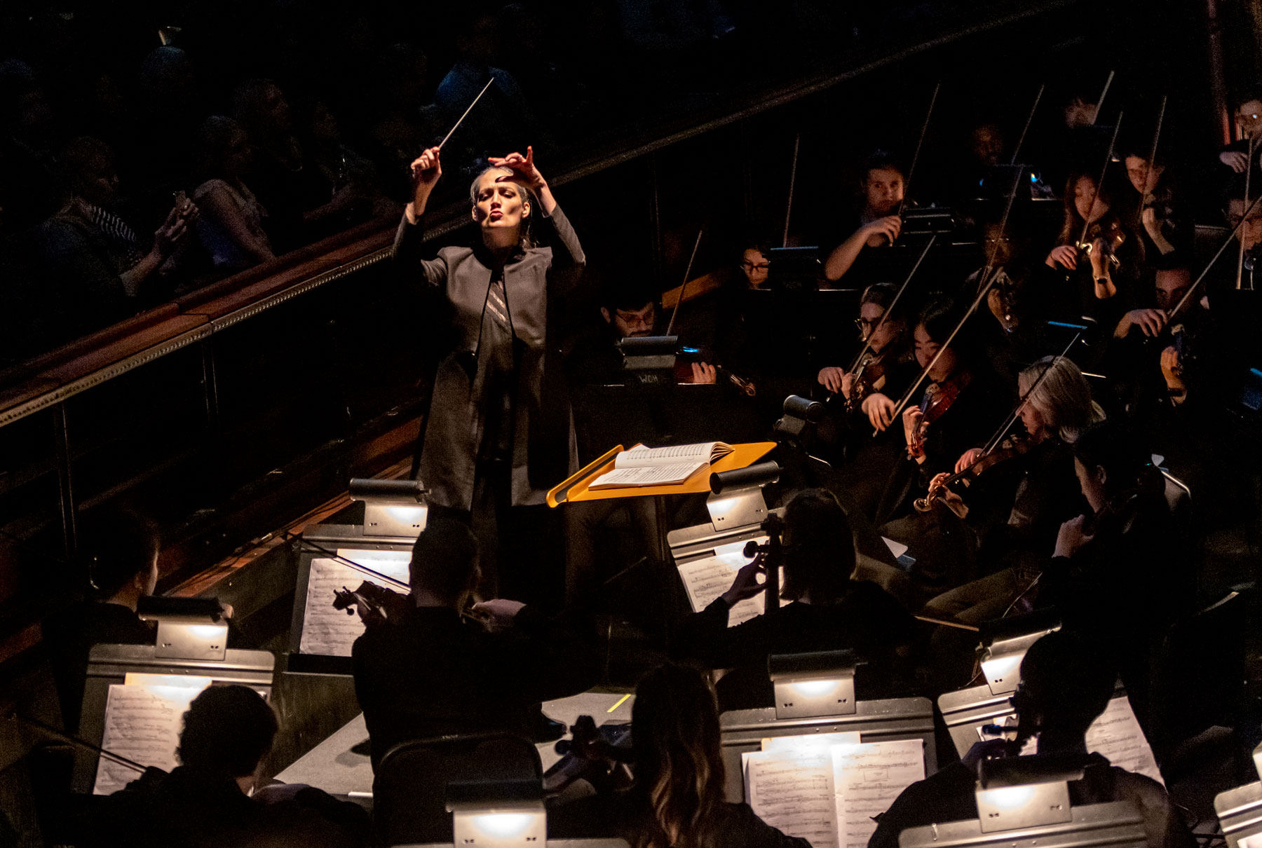 Meadows Symphony Orchestra performs for the Meadows at the Winspear.