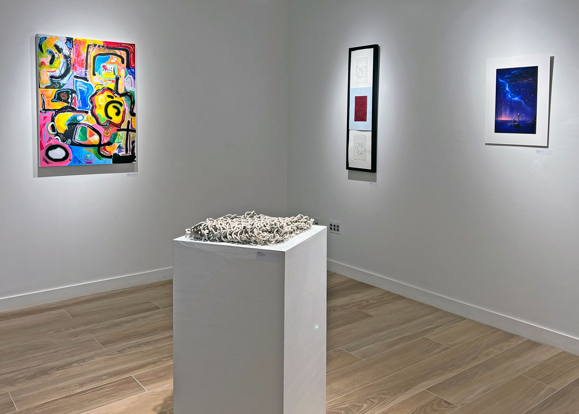 Various pieces of artwork by students in the Student Organized Art Collective is displayed in the Jordan Gallery