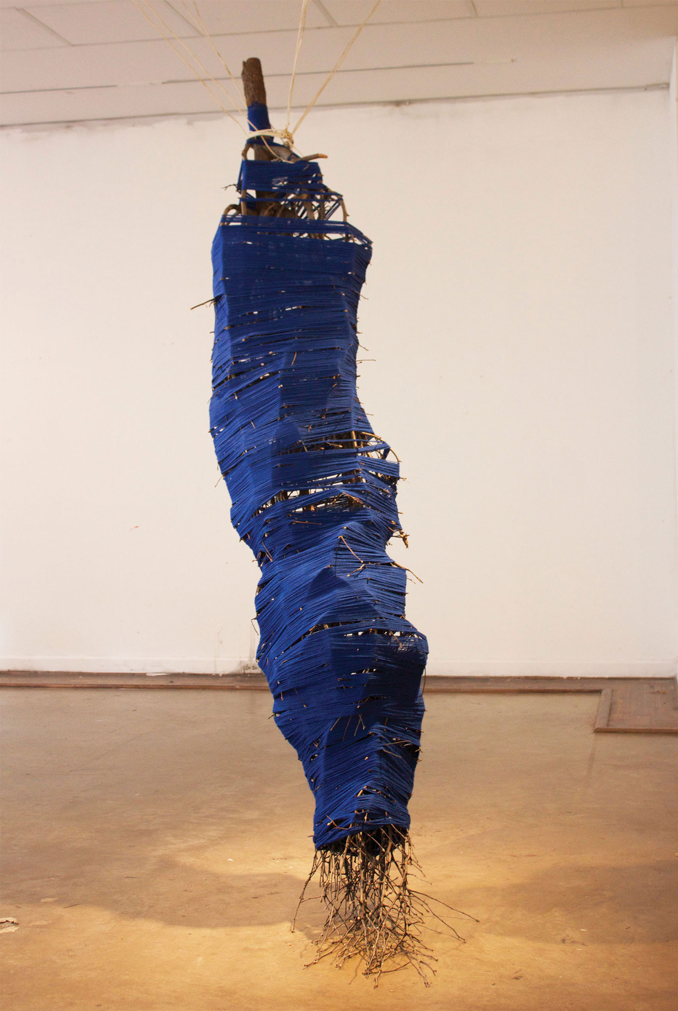  Installation by Nic Gonzalez