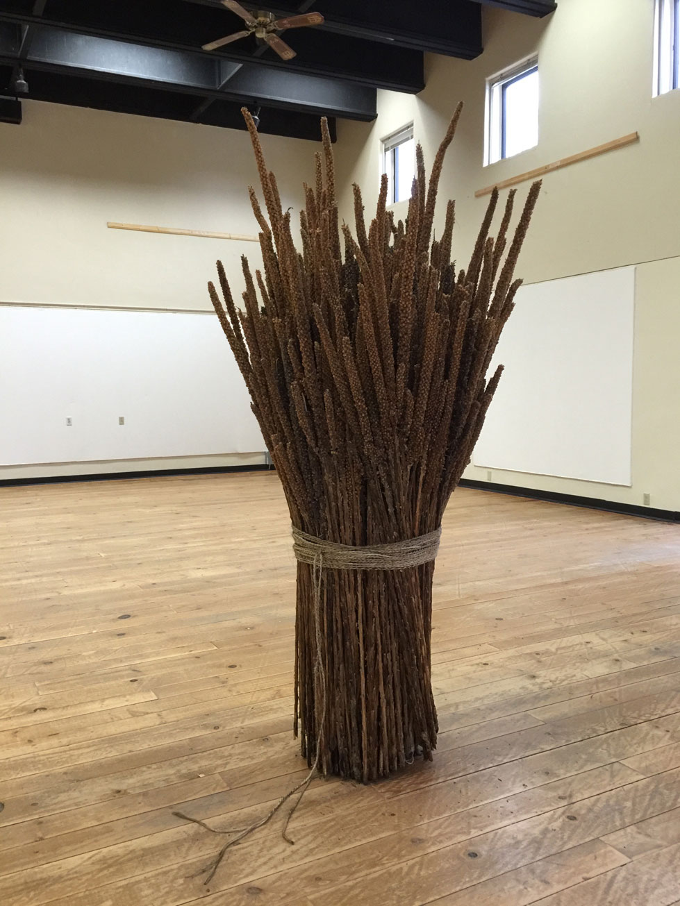 Installation by Nic Gonzalez