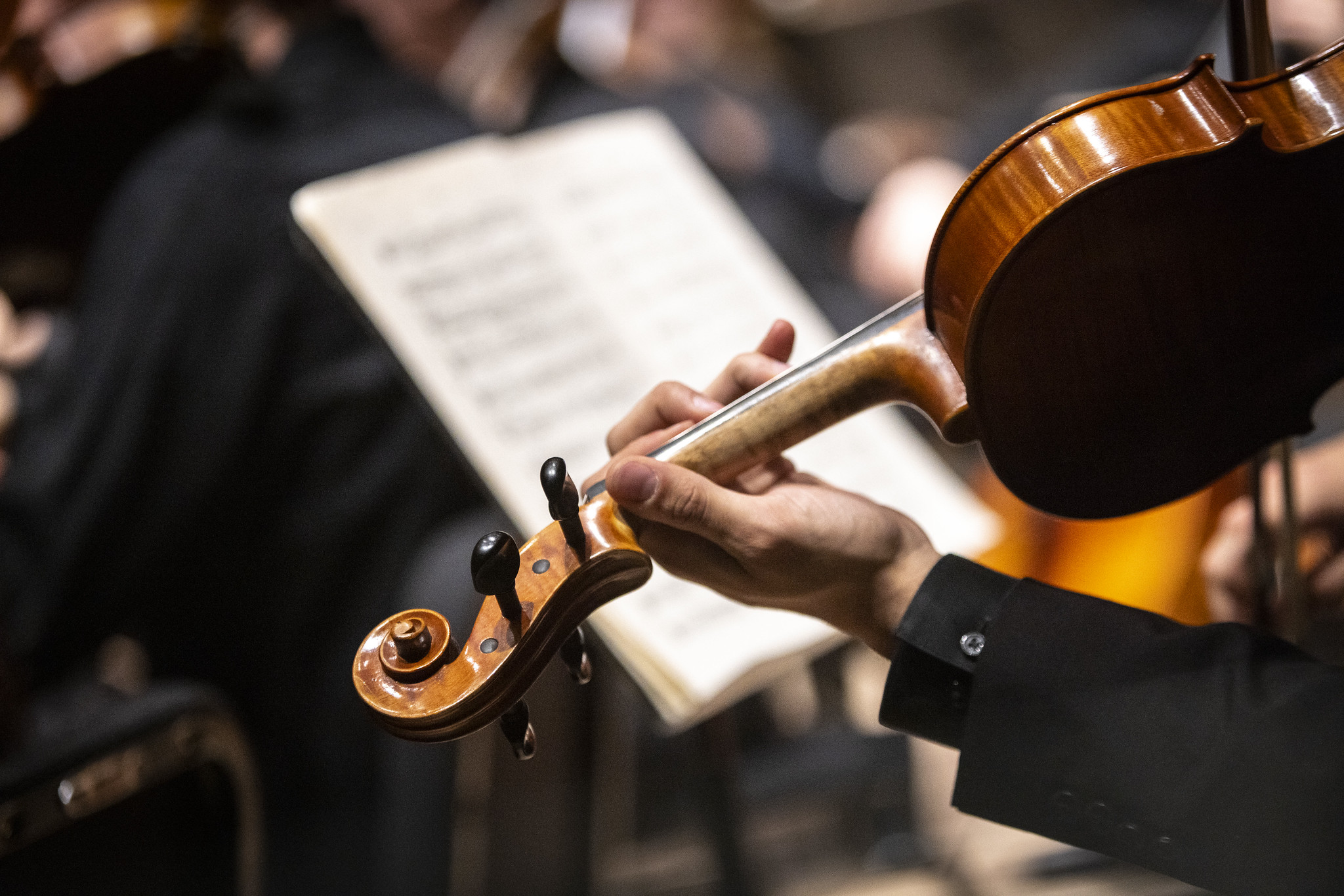 The master’s degree in musicology offered by SMU Meadows is a cultural and global study in music and instrumentation.