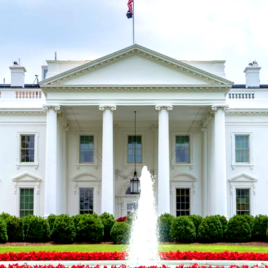 The White House