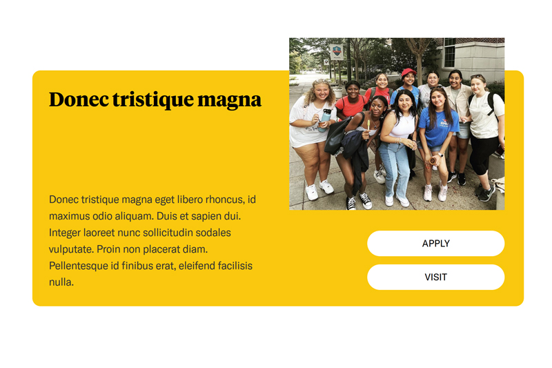 Call to Action feature thumbnail