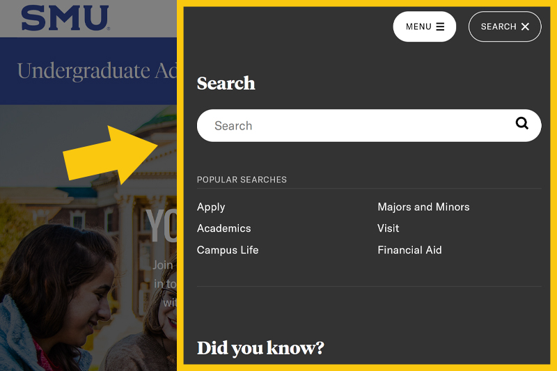 Search menu thumbnail