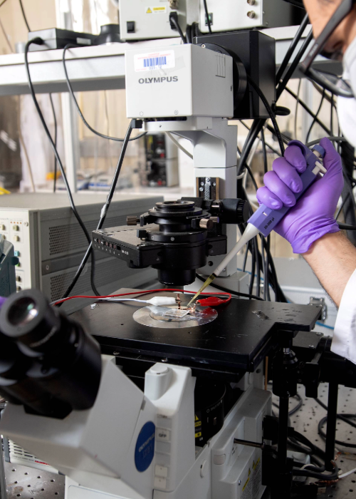 Image of a Chemistry Lab