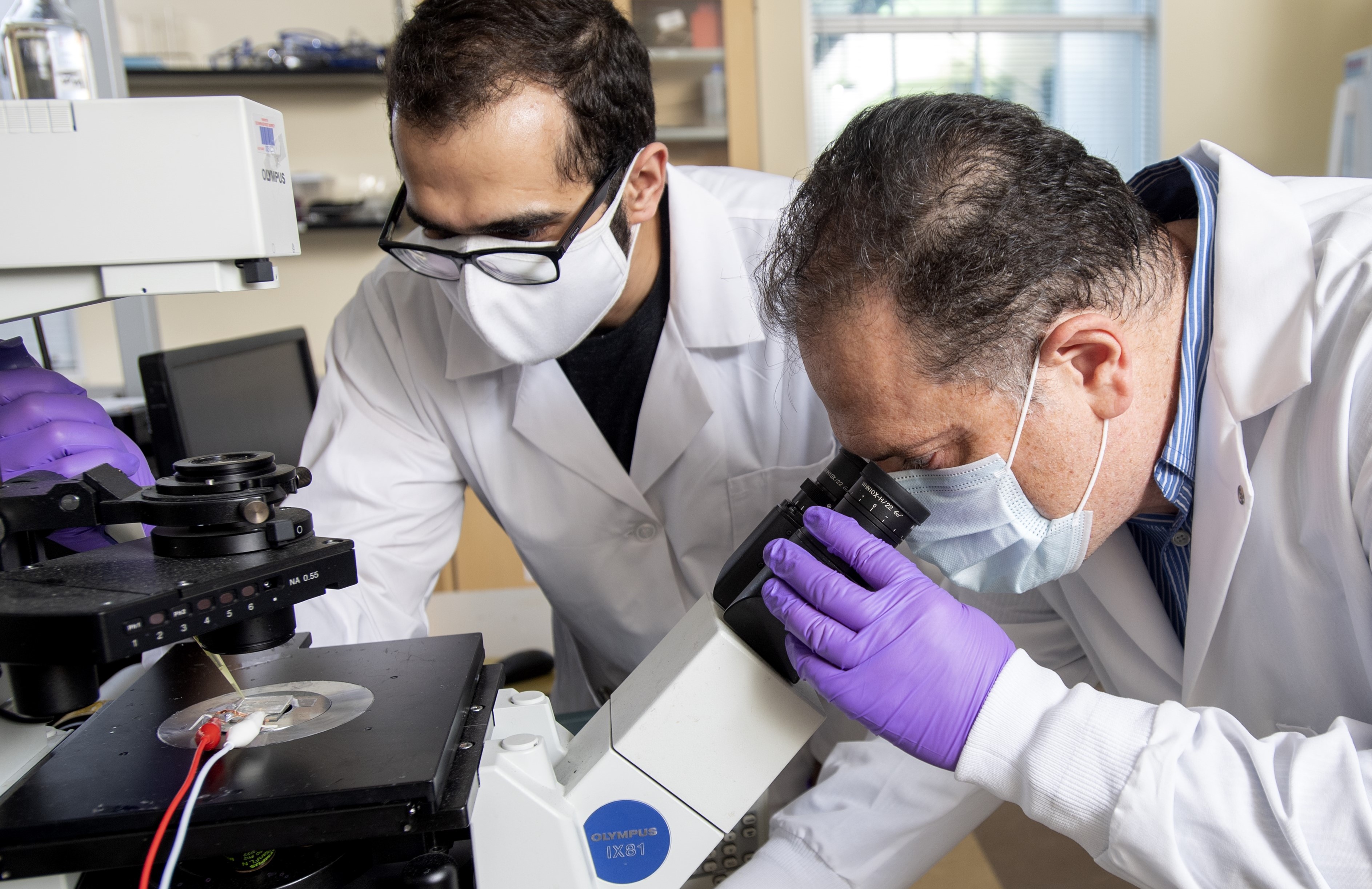 Research in lab