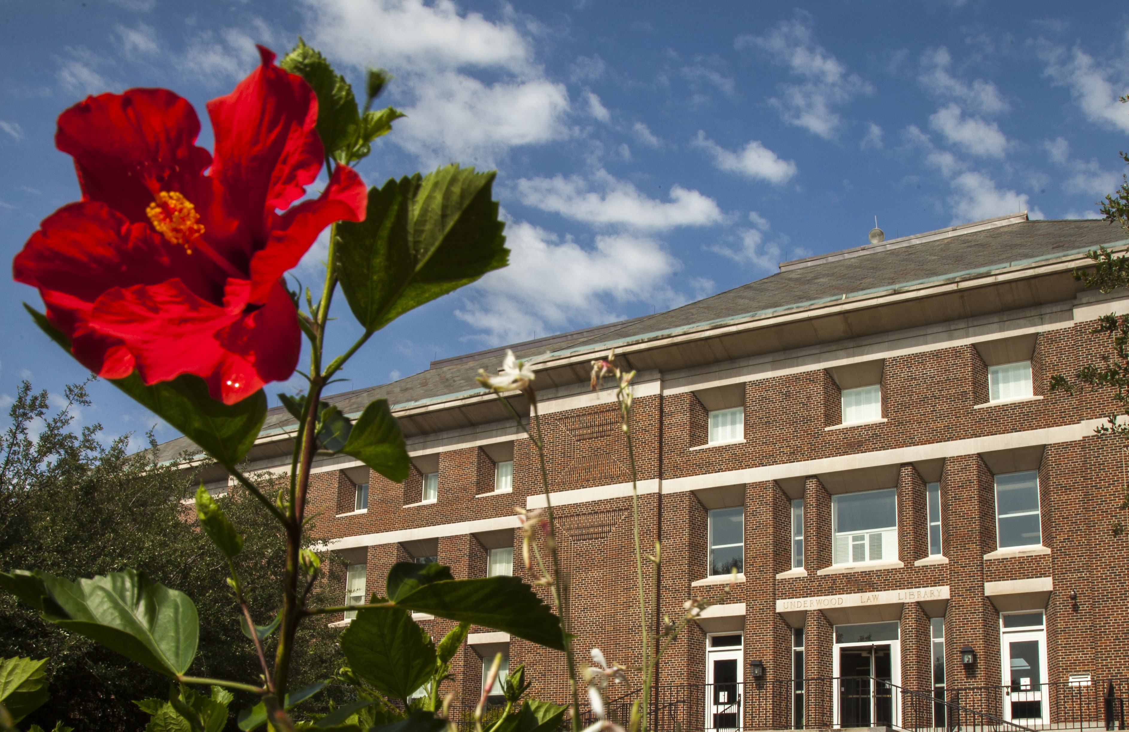 SMU Campus with Flower