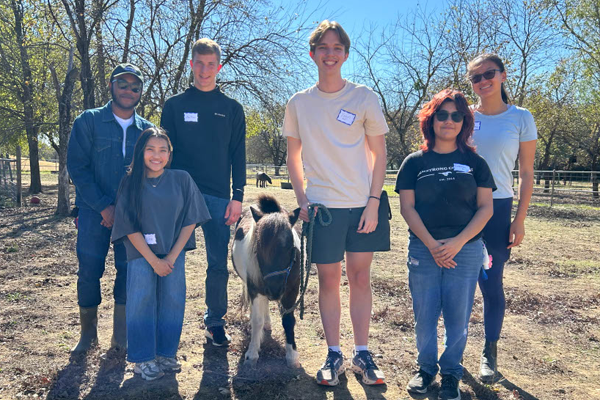 Group of HSP volunteers standing in a staggered line beside a pony in an outdoor paddock, facing the camera on a sunny day with trees and fencing behind them.