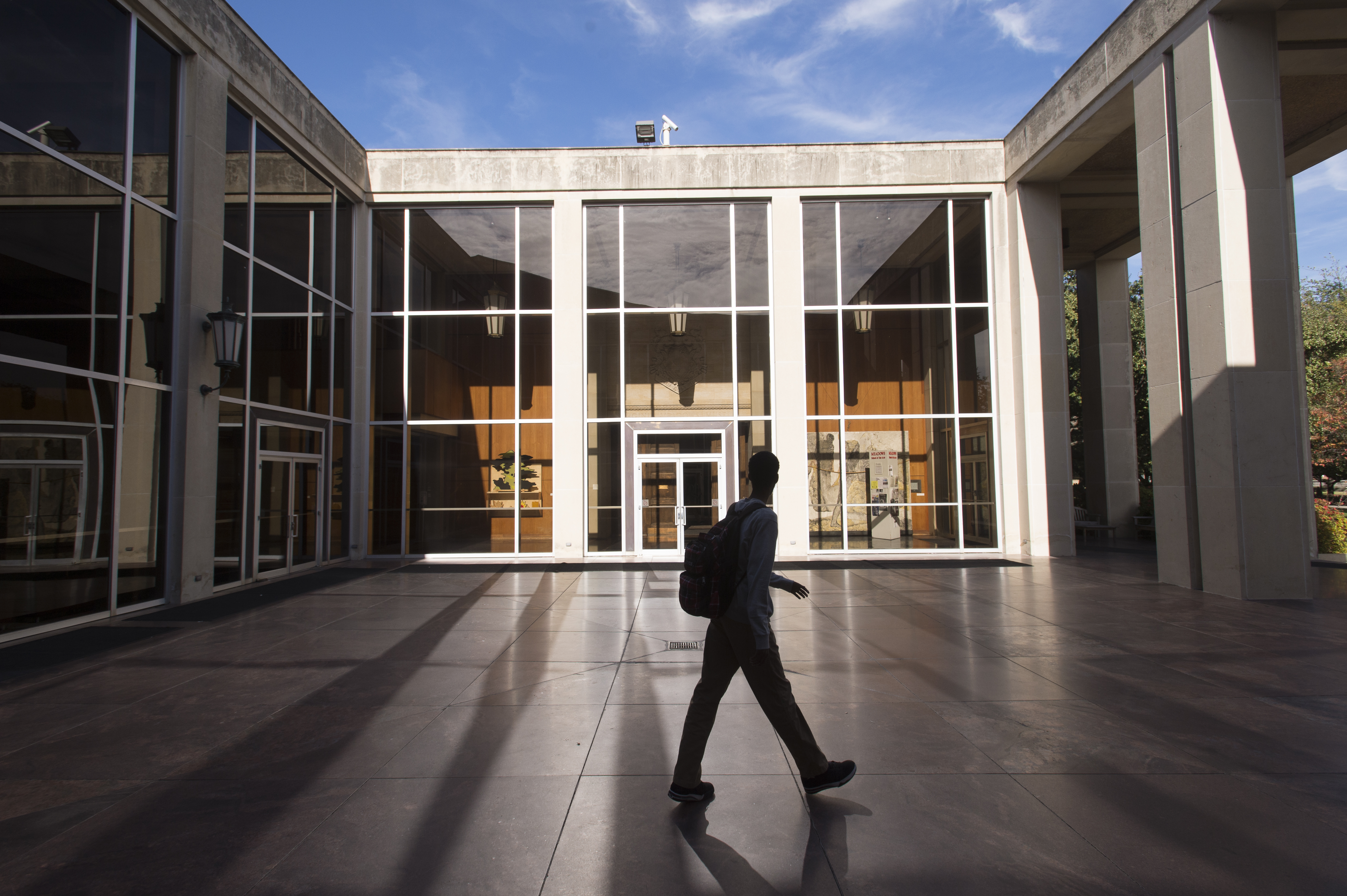 Meadows School of the Arts