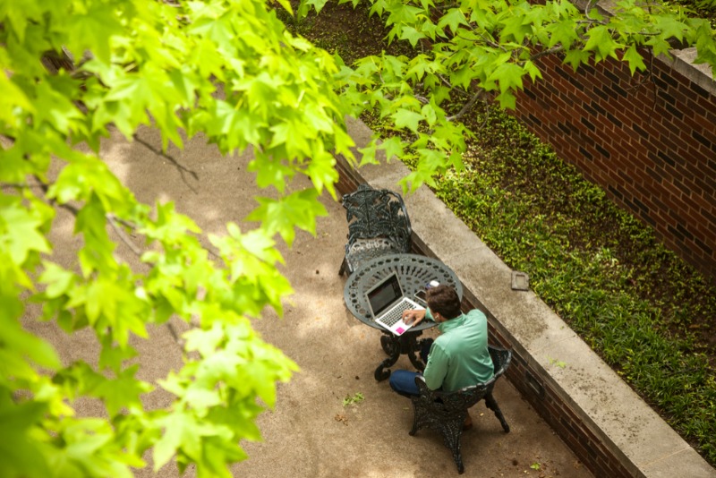 Person on computer under tree outside