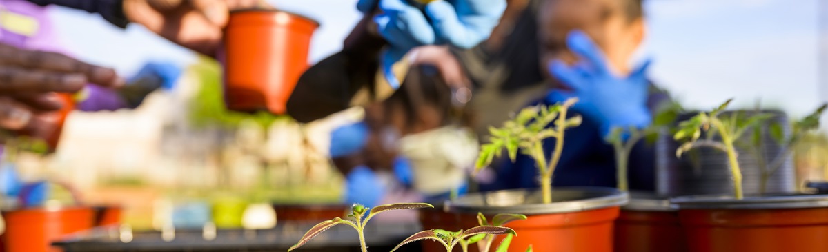 West Dallas STEM School science in the garden March family learning hub.