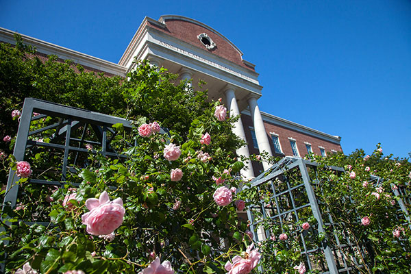 Annette Caldwell Simmons Rose Garden outside Annette Caldwell Simmons Hall