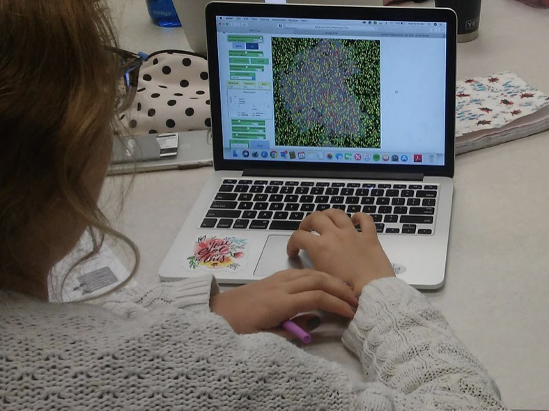 Person working on laptop computer