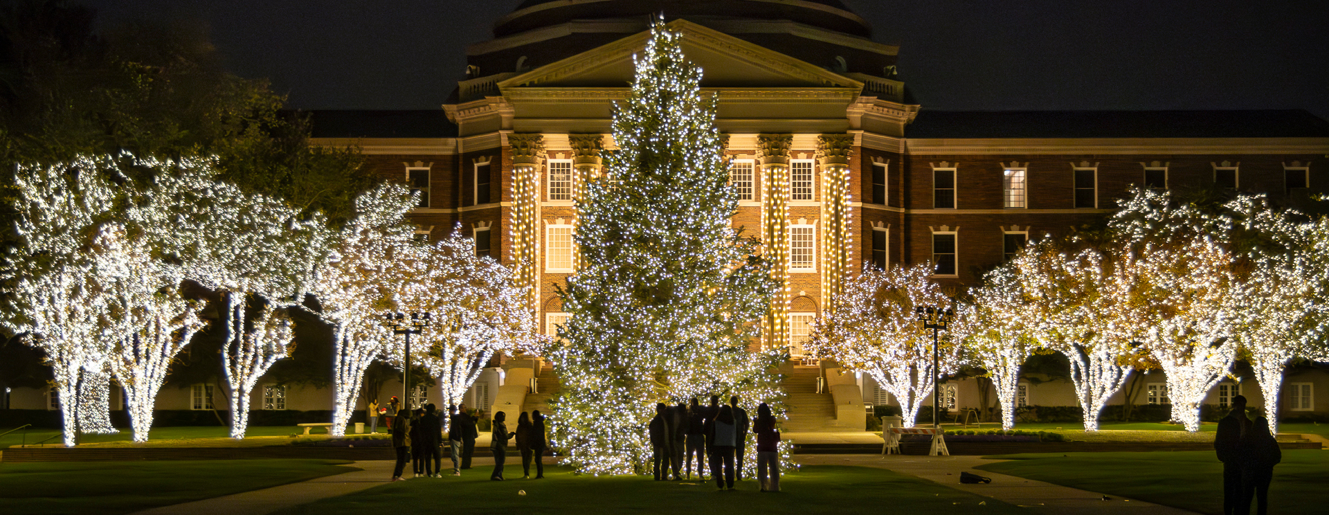 Celebration of lights