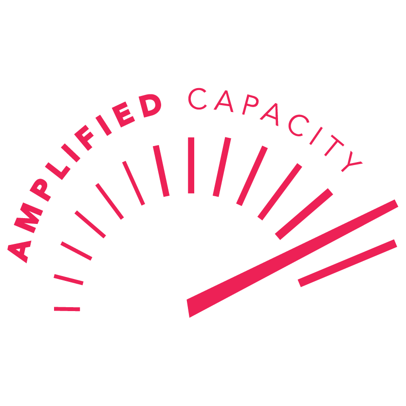 student affairs learning domain amplified capacity