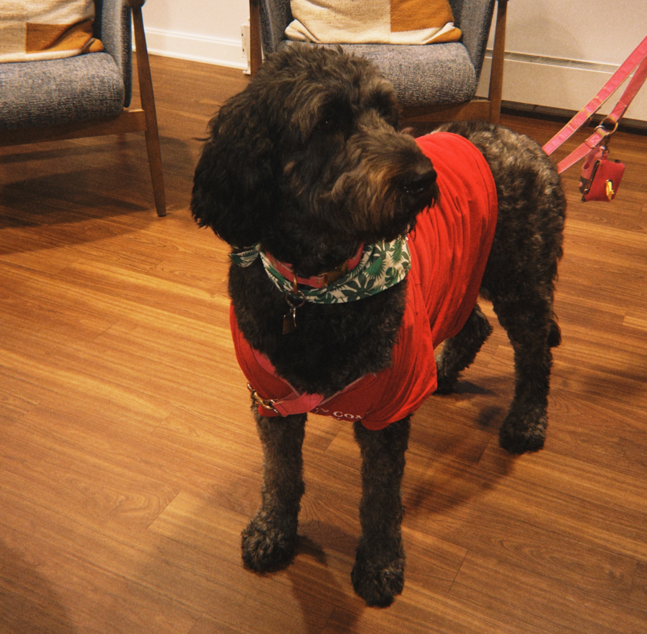 Fur in Residence Margot