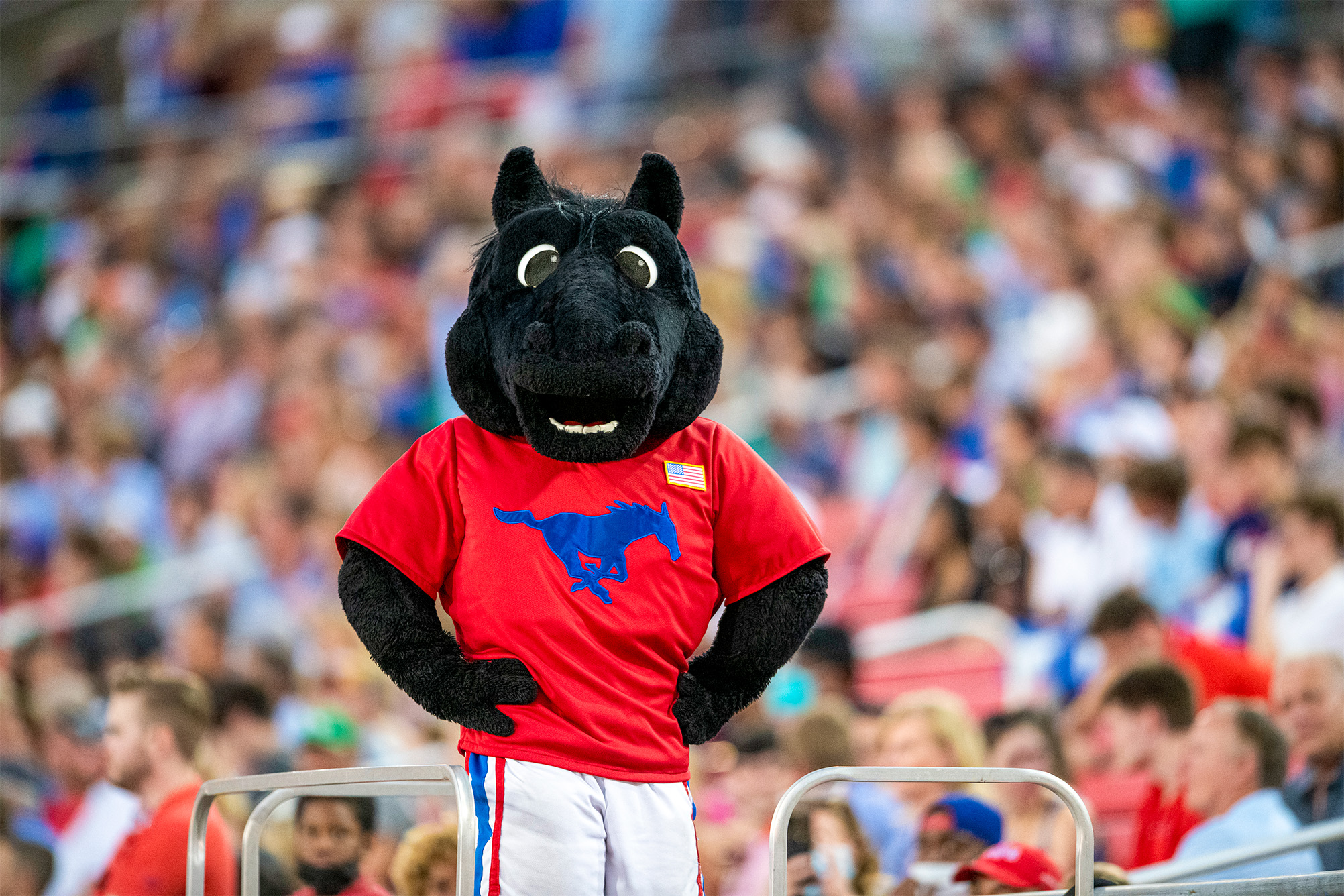 Peruna mascot at football game wearing red tshirt with blue mustang logo and white pants with blue and red stripes on side, people in sitting in stands in background