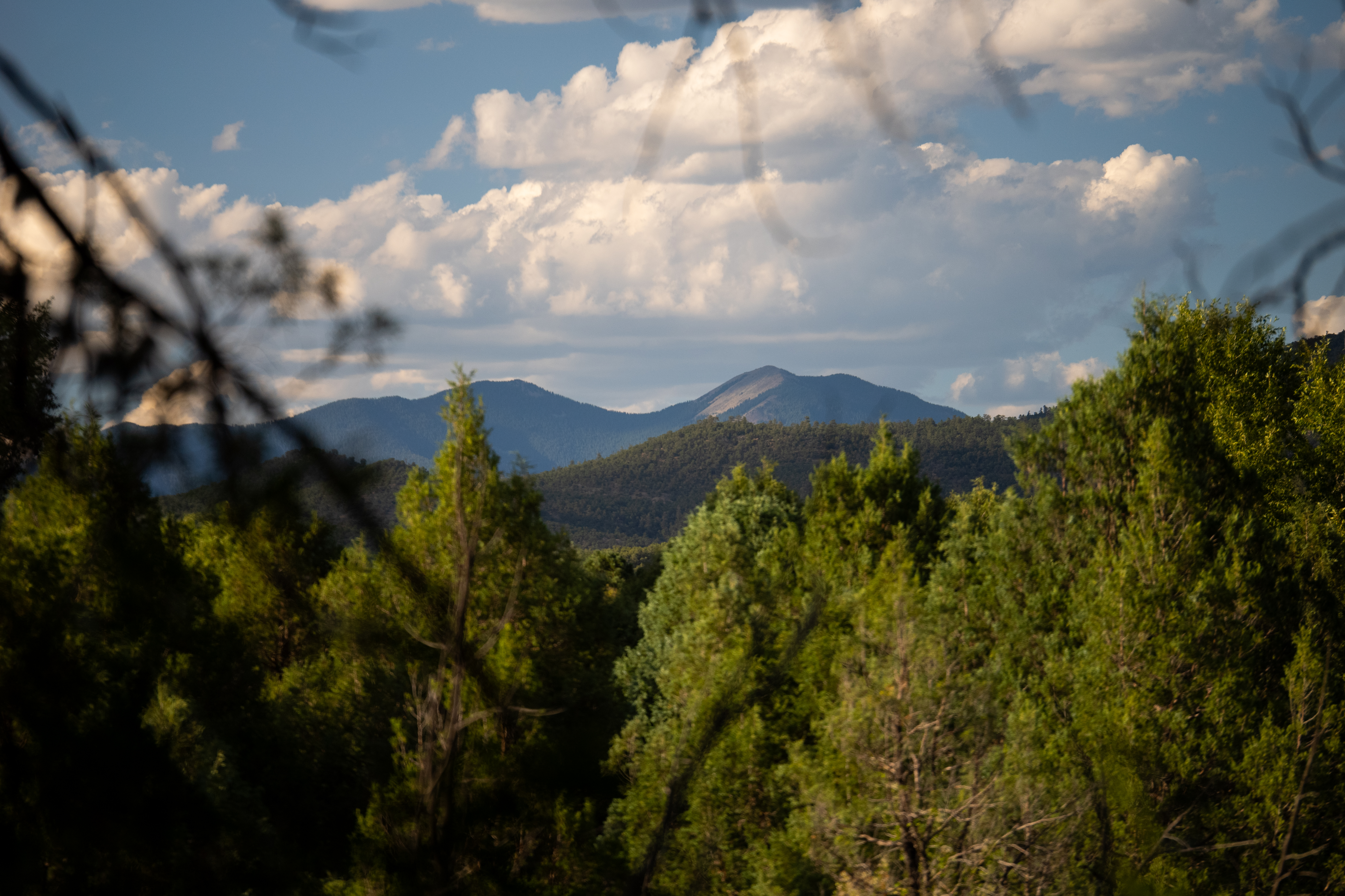 View from between tree branches over the woods with mountains in the distance