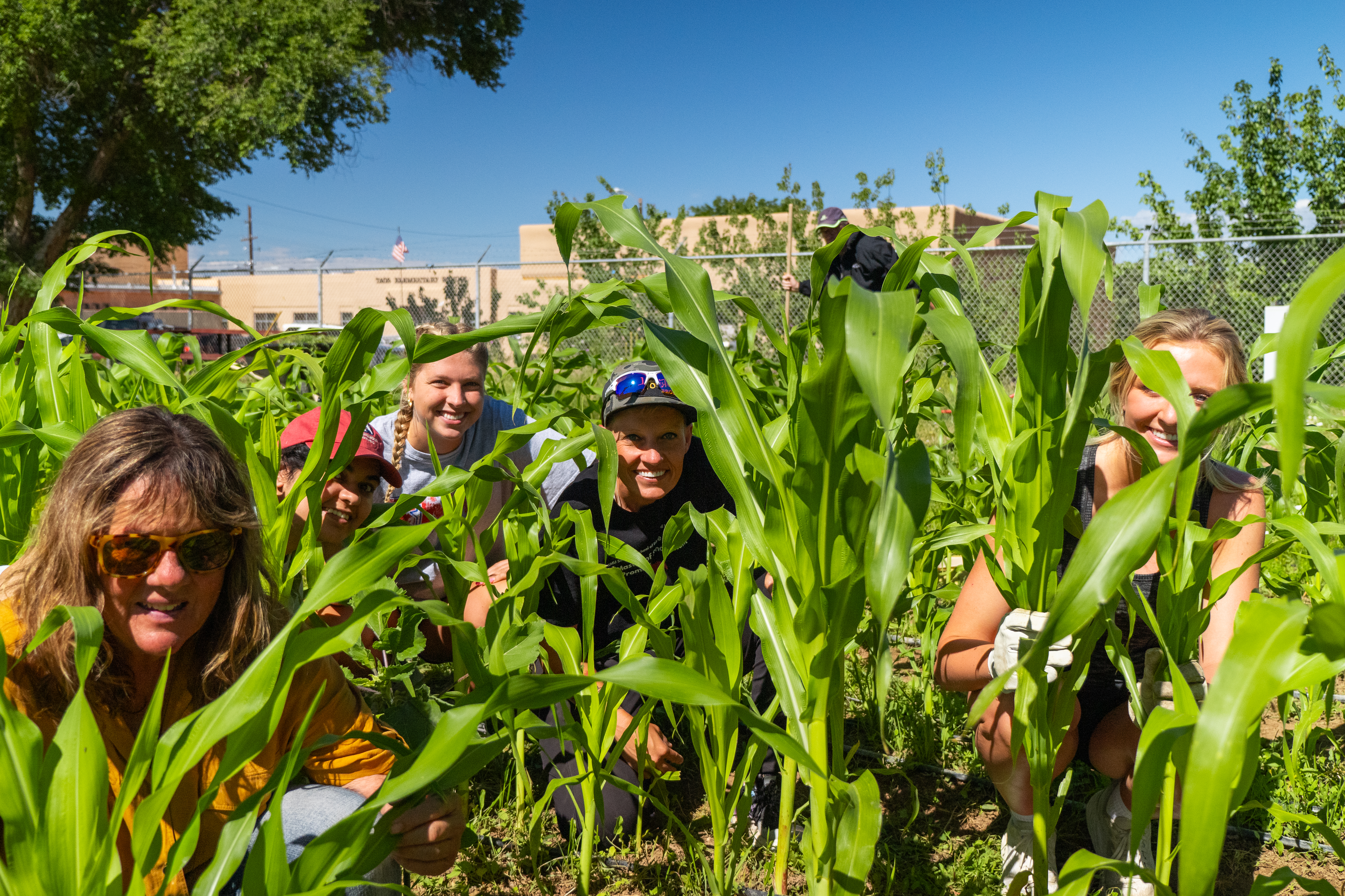 SMU Taos Students Volunteering