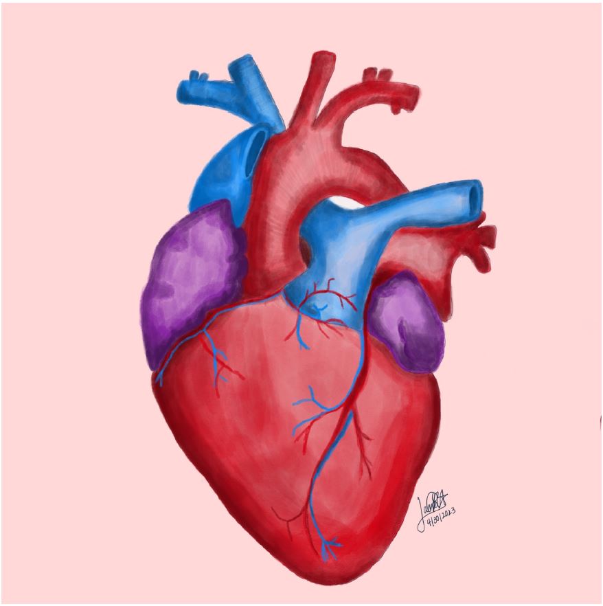 photo of heart