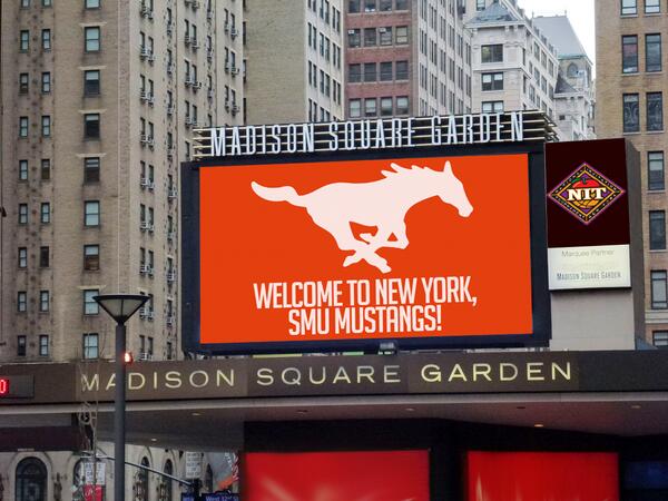 Welcome Mustangs