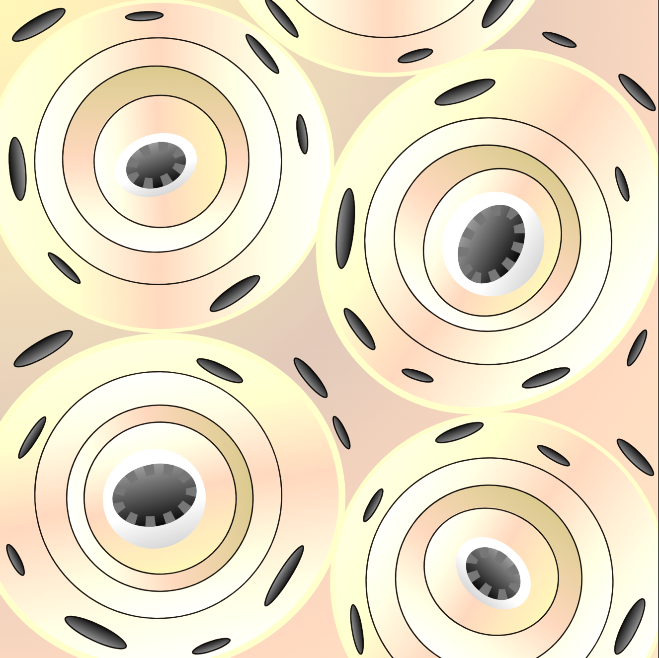 biology research photo