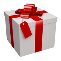 wrapped present with bow