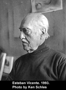 Esteban Vicente