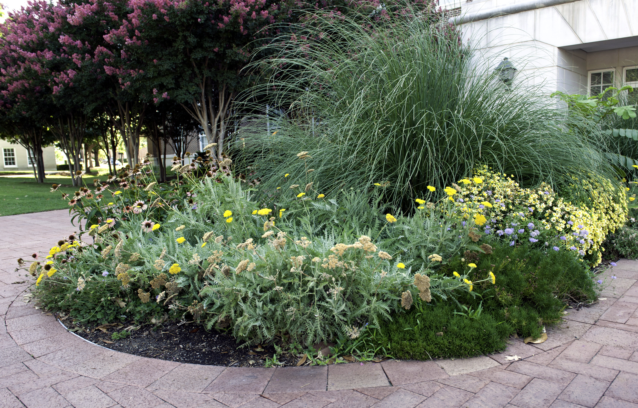 Flower bed at Southern Methodist University