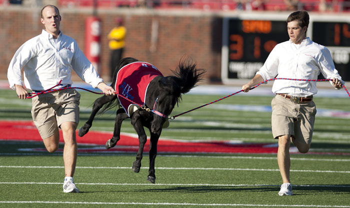 SMU mascot Peruna