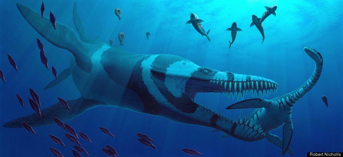 mosasaur