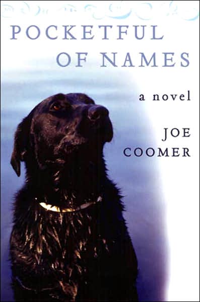 Pocketful of Names by Joe Coomer