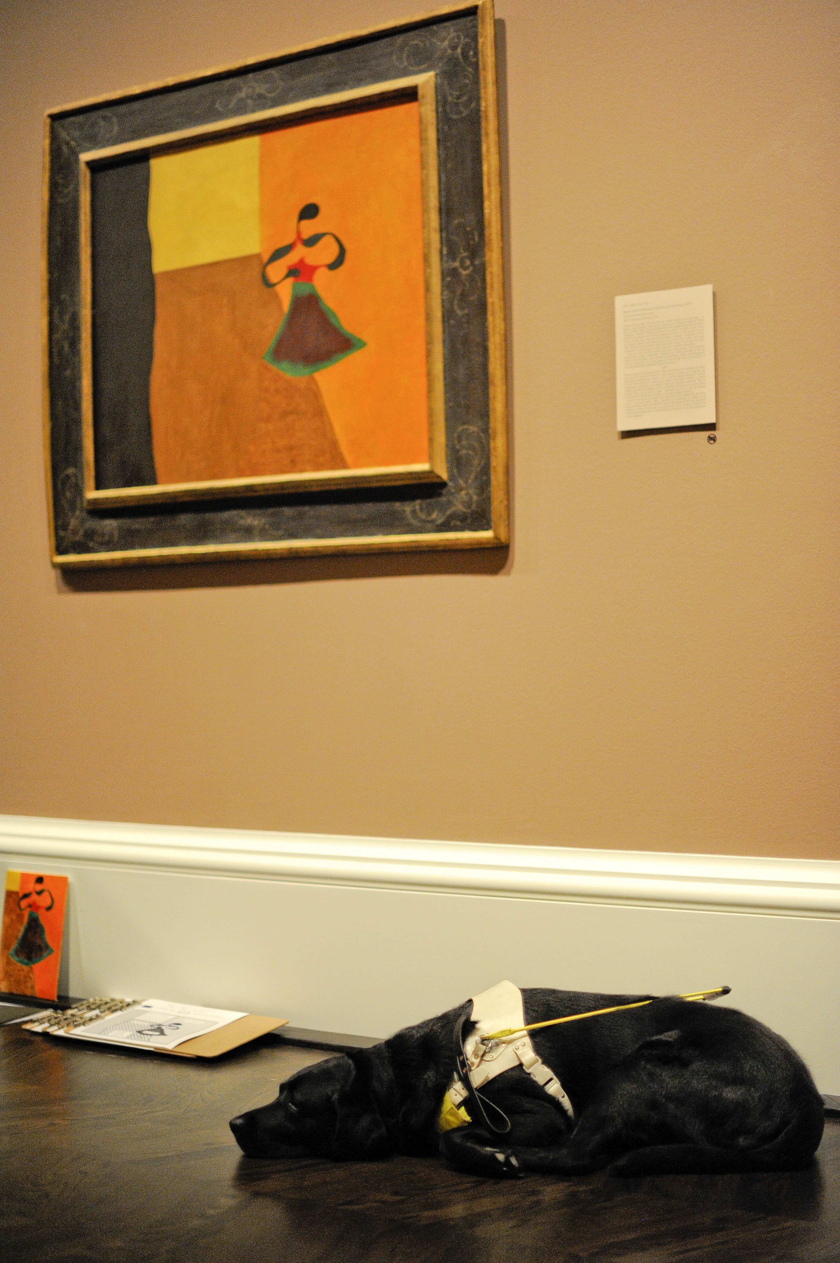 Meadows Museum Connections Program with seeing-eye dog