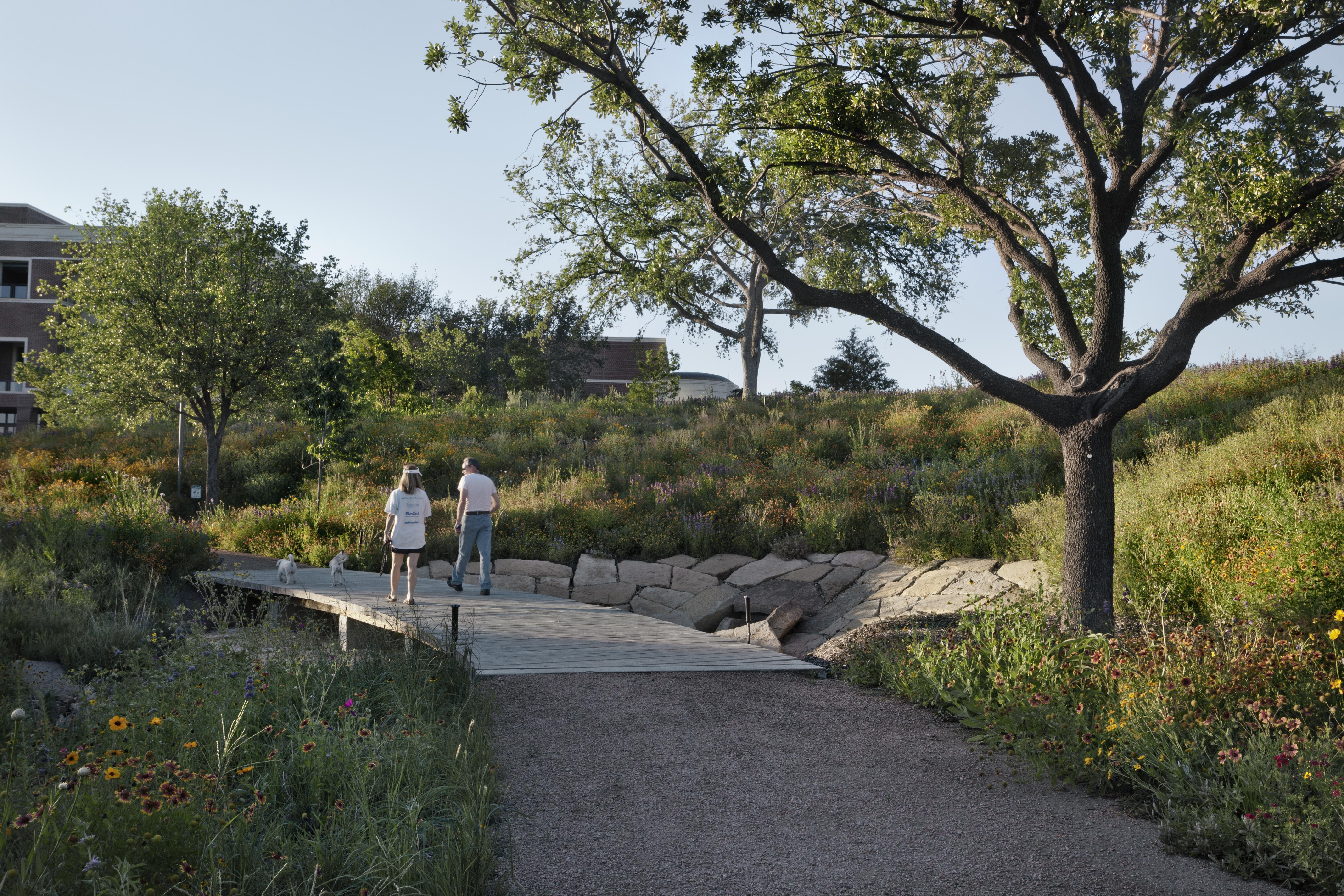 Spring's first wildflowers will be in bloom at SMU's Community Day at the 15-acre Native Texas Park at the George W. Bush Presidential Center, a short walk or shuttle ride from Meadows Museum.