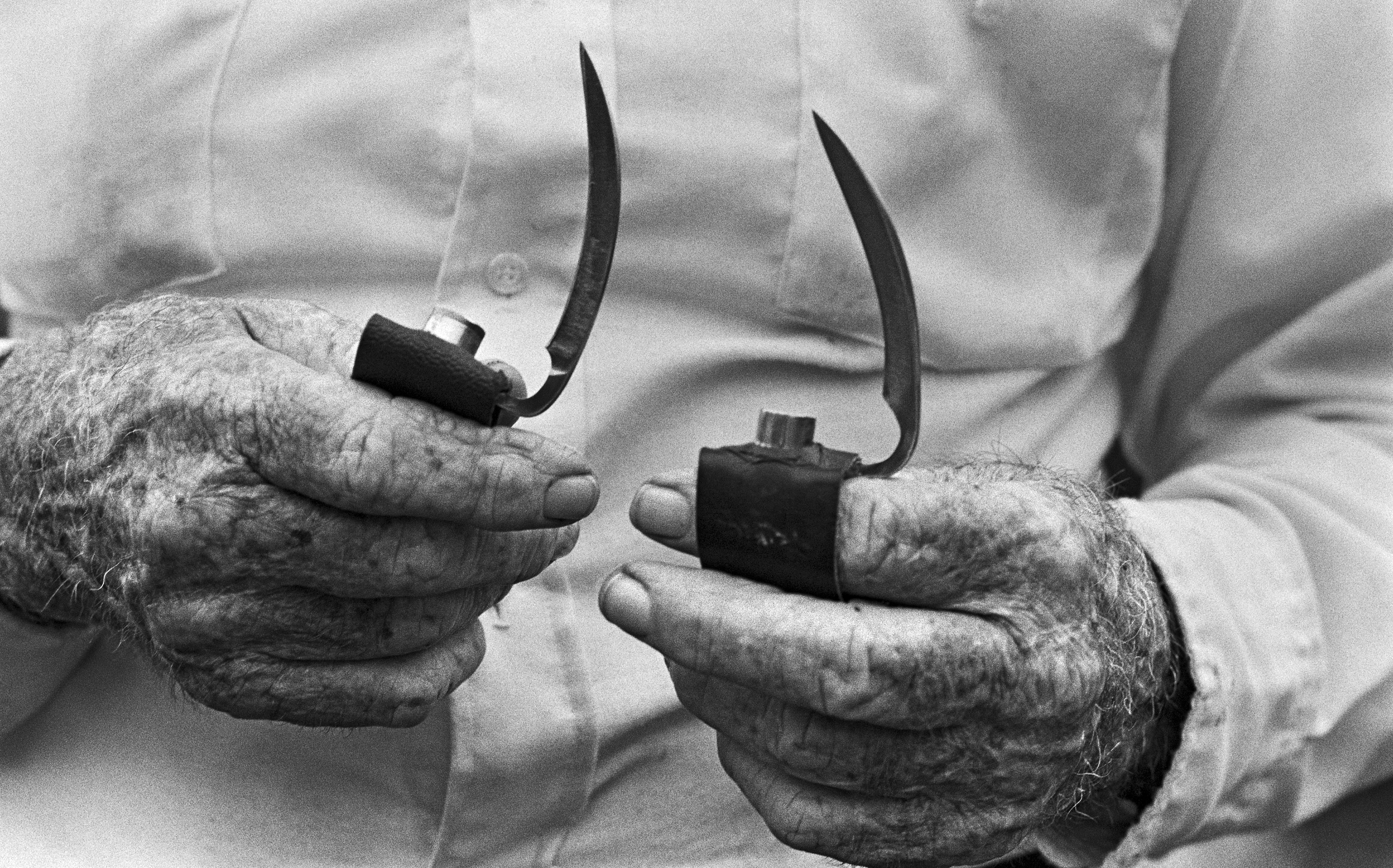 Photo by Laura Wilson